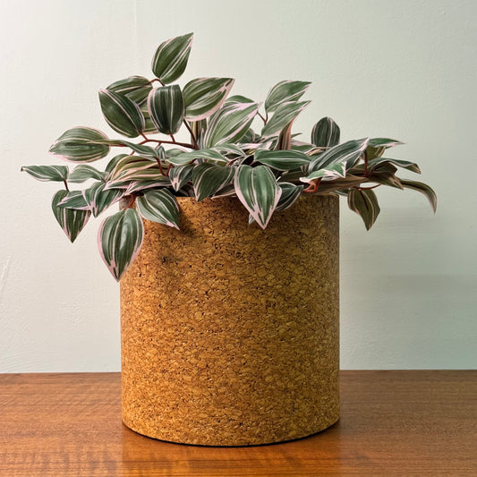 Cork planter pot