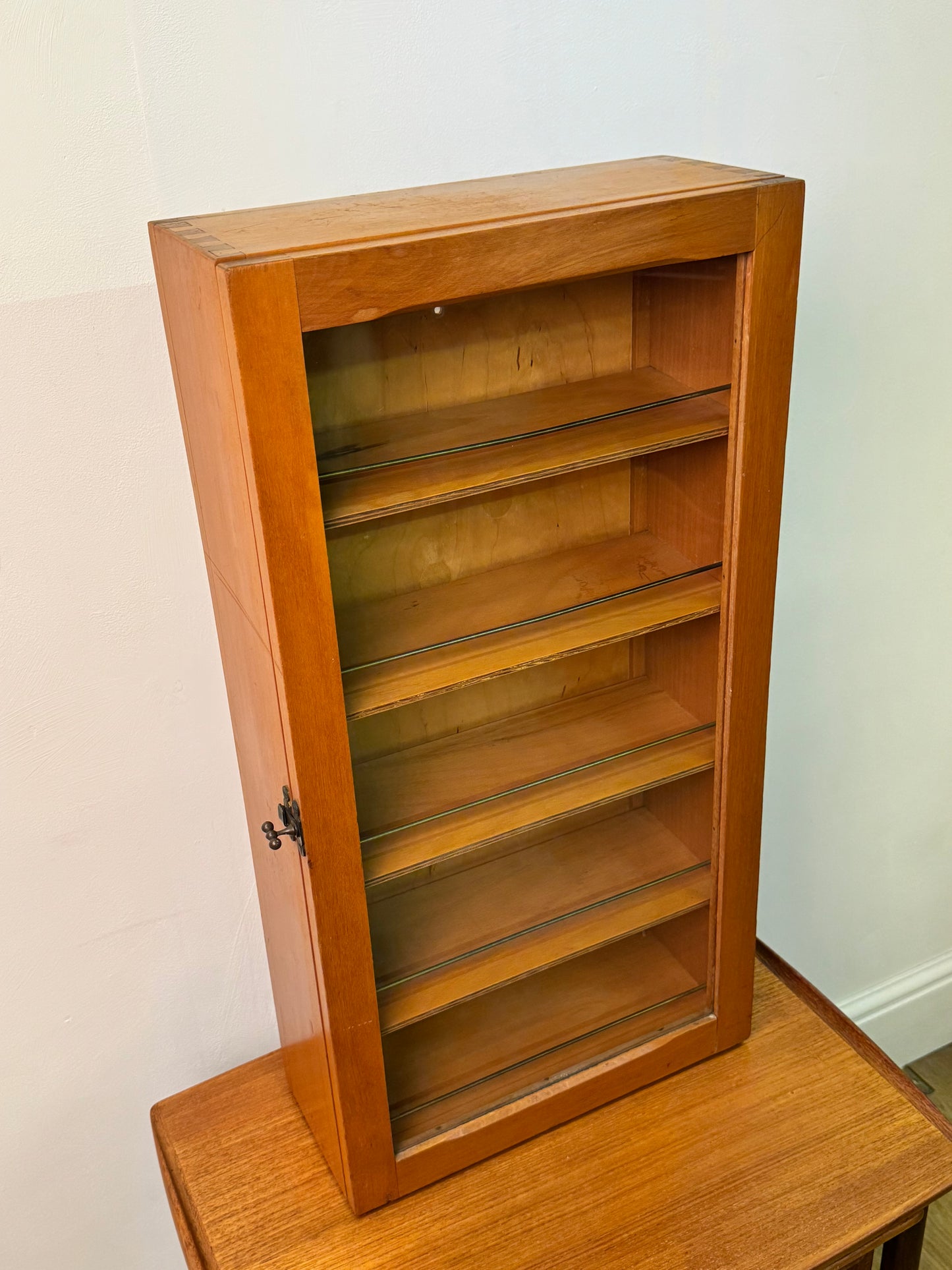 Vintage 1950s wall mounted display cabinet